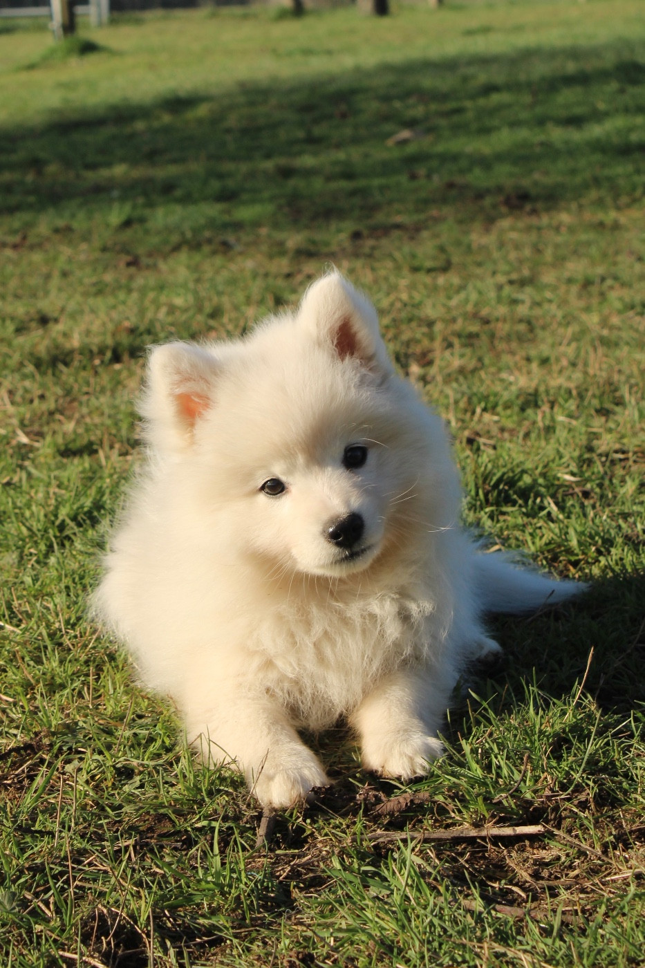 Another Star Is Born Yuki Of Fantasia Lover Land