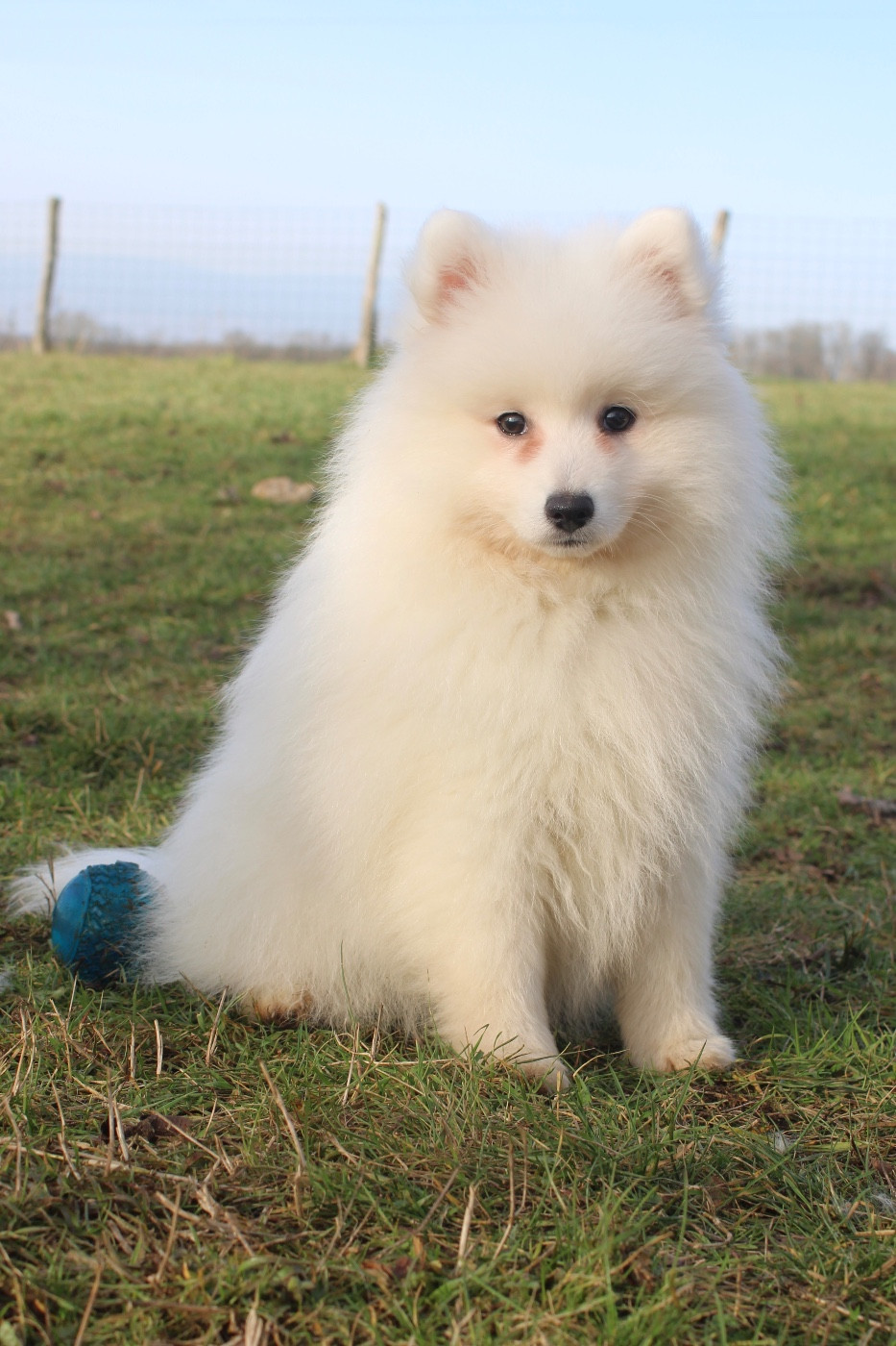 Around The World Kuma Of Fantasia Lover Land